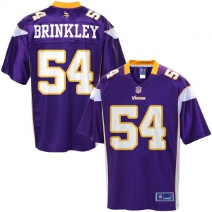 Pro Line Men's Minnesota Vikings Jasper Brinkley Team Color Jers