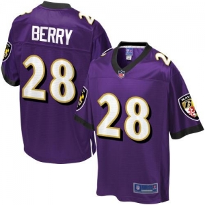 Pro Line Men's Baltimore Ravens Damien Berry Team Color Jersey