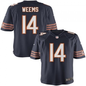 Nike Youth Chicago Bears Eric Weems Team Color Game Jersey